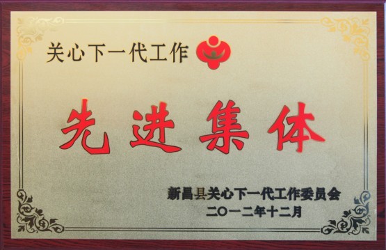关心下一代先进集体
